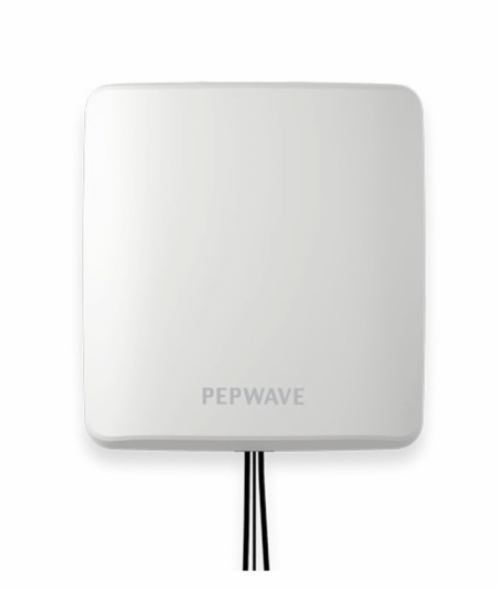 Pepwave ANT-IOT-20G-N-W-2